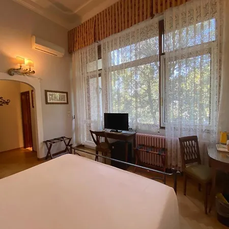Hotel David